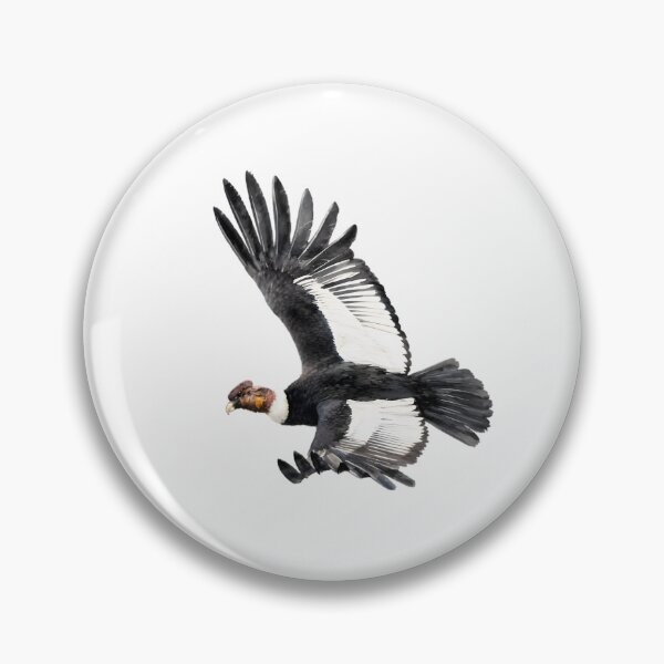 Item preview, Andean Condor (Vultur gryphus) designed and sold by HOMETOWN86.