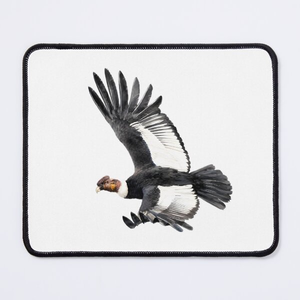 Item preview, Andean Condor (Vultur gryphus) designed and sold by HOMETOWN86.