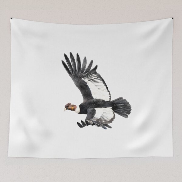 Item preview, Andean Condor (Vultur gryphus) designed and sold by HOMETOWN86.