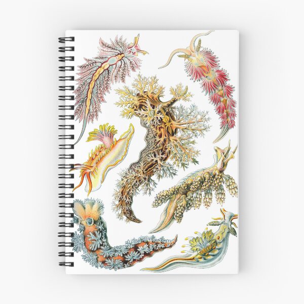 Item preview, Ernst Haeckel - Nudibranchia (Snails) designed and sold by ShaMiLaB.