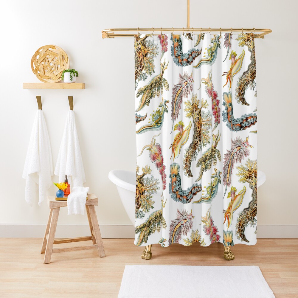 Ernst Haeckel - Nudibranchia (Snails) Shower Curtain