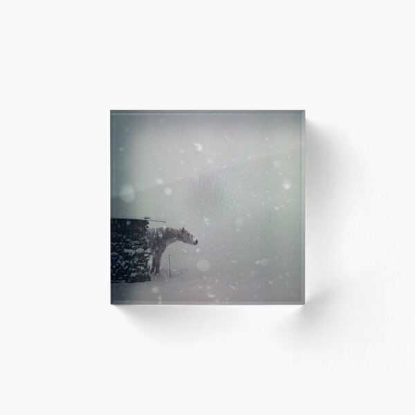 Item preview, Horse in a Snowstorm designed and sold by MikebaserGray.