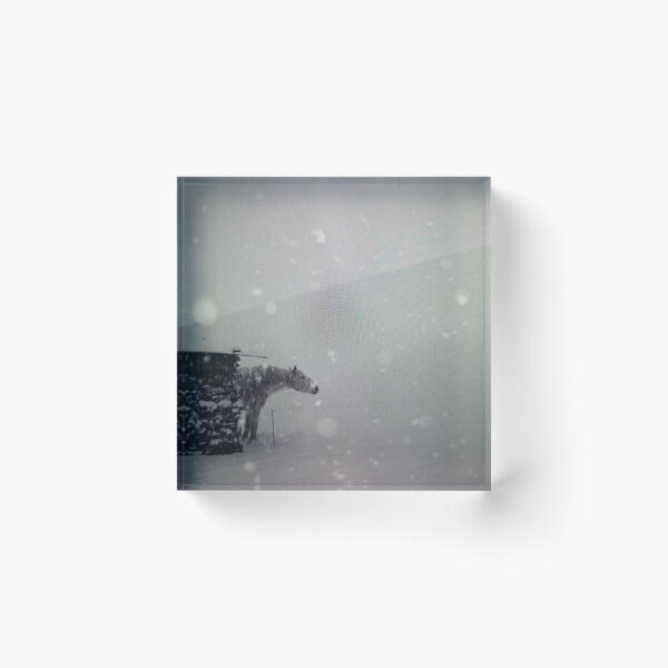 Item preview, Horse in a Snowstorm designed and sold by MikebaserGray.
