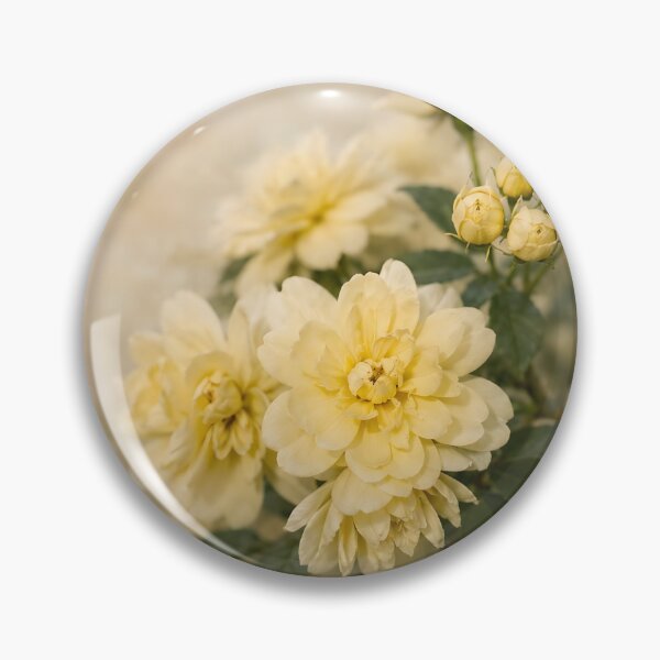 Item preview, Soft Yellow Roses – Botanical Flow Collection Fine Art Photography   designed and sold by Violafleurviolett.