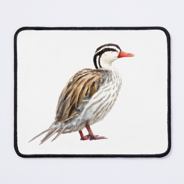 Item preview, Torrent Duck (Merganetta armata) designed and sold by HOMETOWN86.