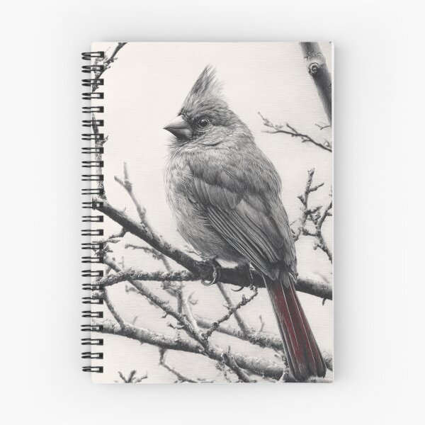 Item preview, A Cardinal among bare winter branches, Birds in Motion designed and sold by CDC40.