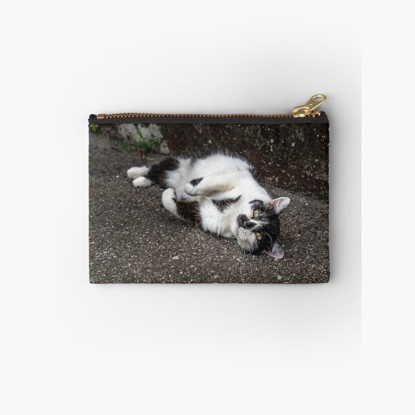 Item preview, Playful Street Cat Rolling on Pavement — Urban Animal Photography designed and sold by Rabee Khalil Photography.