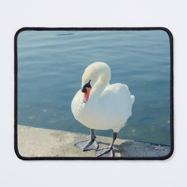 Item preview, Swan  designed and sold by Debra Cox.
