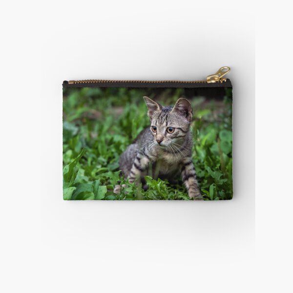 Item preview, Tabby Kitten in Green Grass — Outdoor Pet Photography designed and sold by Rabee Khalil Photography.