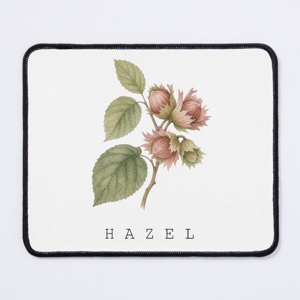 Item preview, Female Names Plants Elegant Watercolor Hazel Branch Art designed and sold by FernLiz.