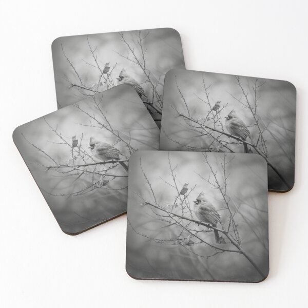 Item preview, A Cardinal among bare winter branches, Birds in Motion designed and sold by CDC40.