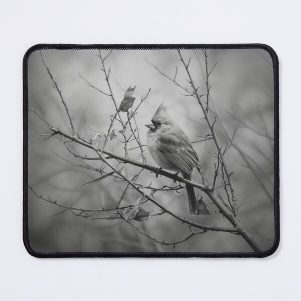 Item preview, A Cardinal among bare winter branches, Birds in Motion designed and sold by CDC40.