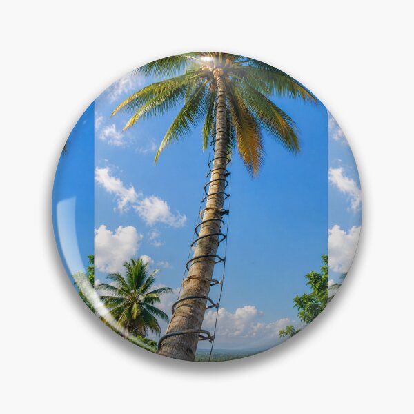 Item preview, Coconut Tree designed and sold by AwesomeDigiShop.