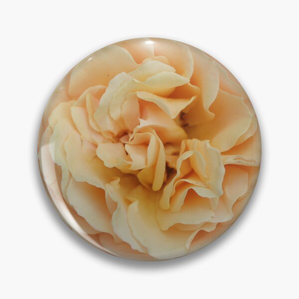 Item preview, Soft peach rose flower - Botanical nature photography designed and sold by Cha-s-lens.