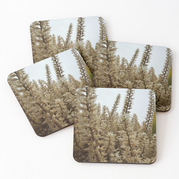 Item preview, Desert Lacework designed and sold by Betsy Phillips.