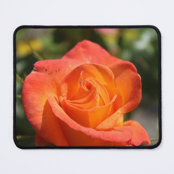 Item preview, Vibrant orange rose - Macro flower photography designed and sold by Cha-s-lens.