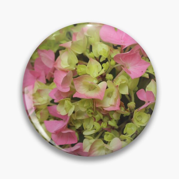 Item preview, Pink hydrangea blossom - Pastel botanical photography designed and sold by Cha-s-lens.