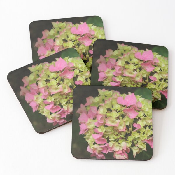 Item preview, Pink hydrangea blossom - Pastel botanical photography designed and sold by Cha-s-lens.