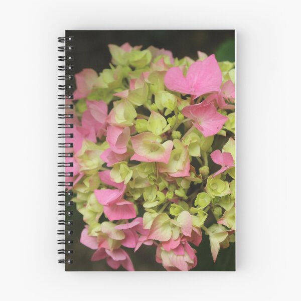 Item preview, Pink hydrangea blossom - Pastel botanical photography designed and sold by Cha-s-lens.