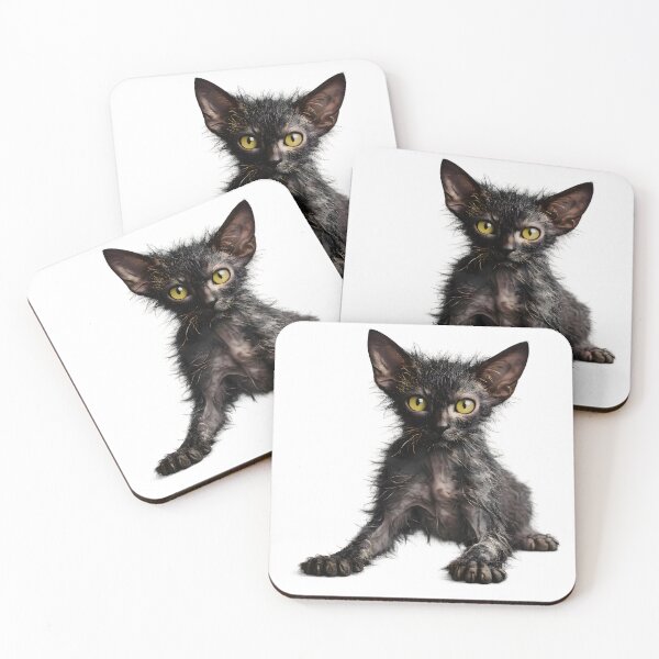 Item preview, Lykoi Cat designed and sold by Sp3ctrumOfColor.