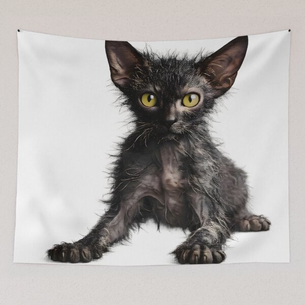 Item preview, Lykoi Cat designed and sold by Sp3ctrumOfColor.