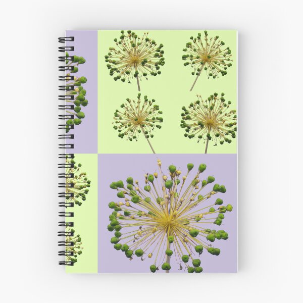 Item preview, Allium Flower Seed Head Macro Photo Collage designed and sold by JurateArt-DK.