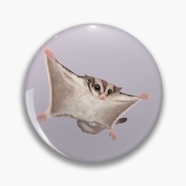 Item preview, Sugar Glider designed and sold by Rollo(CleanRain3675).