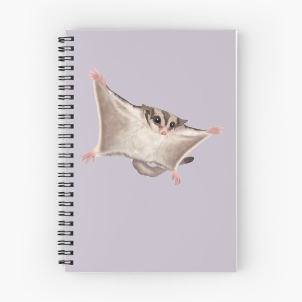 Item preview, Sugar Glider designed and sold by Rollo(CleanRain3675).