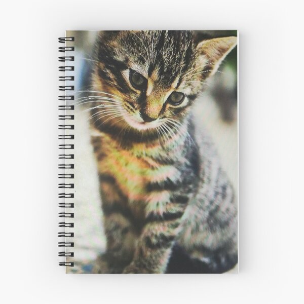 Item preview, Curious Tabby Kitten Sitting designed and sold by silviama9.
