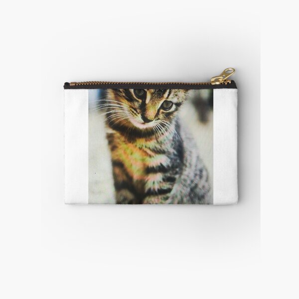 Item preview, Curious Tabby Kitten Sitting designed and sold by silviama9.