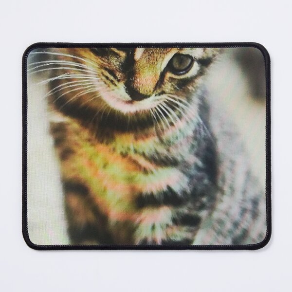 Item preview, Curious Tabby Kitten Sitting designed and sold by silviama9.