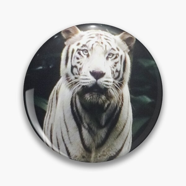 Item preview, Majestic White Tiger in Jungle designed and sold by silviama9.