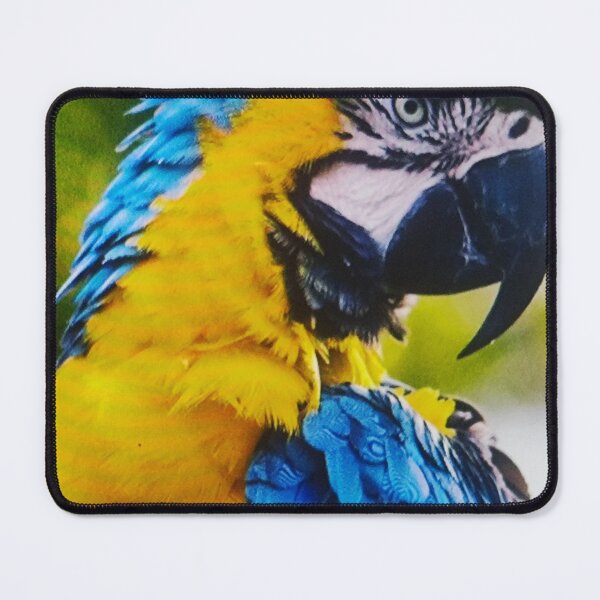 Item preview, Portrait of Blue-and-Yellow Macaw designed and sold by silviama9.