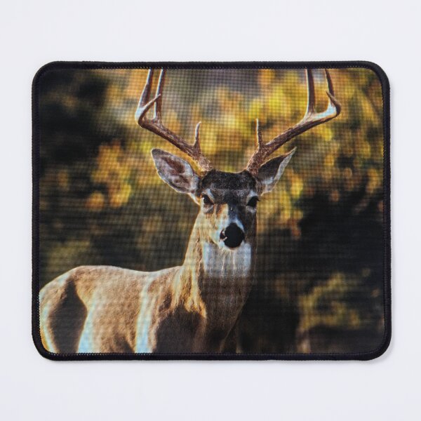 Item preview, White-Tailed Buck in Golden Sunlight designed and sold by rizkyintan8.
