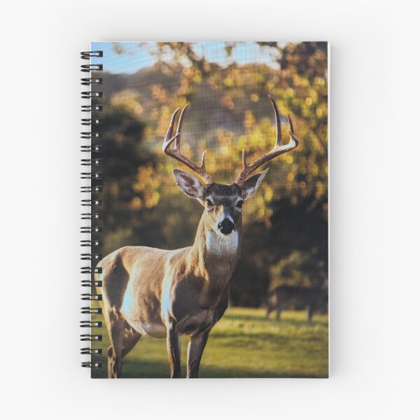 Item preview, White-Tailed Buck in Golden Sunlight designed and sold by rizkyintan8.