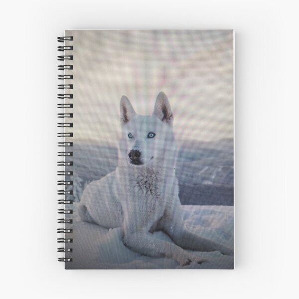 Item preview, White Husky Resting in Snow designed and sold by rizkyintan8.