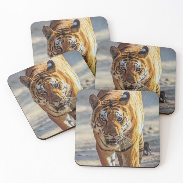 Item preview, Bengal Tiger Head-On Wildlife Photo designed and sold by rizkyintan8.