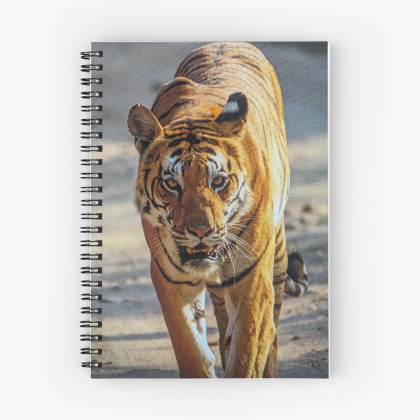 Item preview, Bengal Tiger Head-On Wildlife Photo designed and sold by rizkyintan8.
