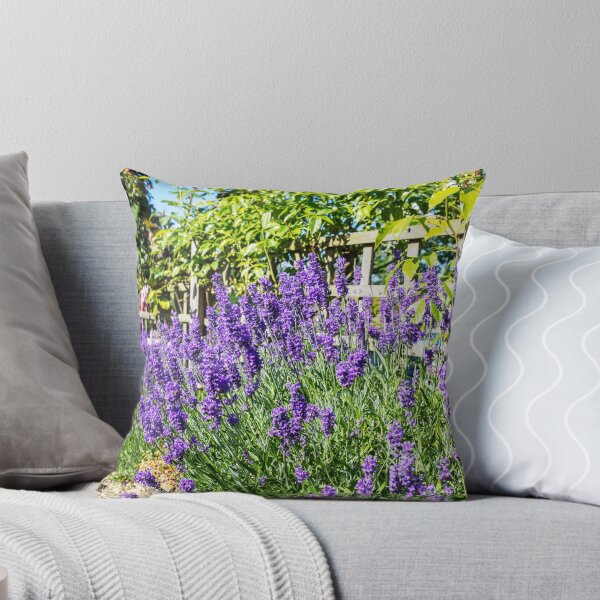 Item preview, Lavender in Bloom – Tealby Garden Flowers, Lincolnshire, England designed and sold by Paul Thompson Photography.