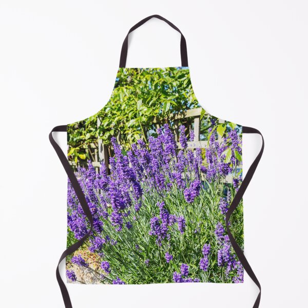 Item preview, Lavender in Bloom – Tealby Garden Flowers, Lincolnshire, England designed and sold by Paul Thompson Photography.