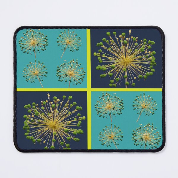 Item preview,  Allium Flower Seed Head Macro Photo Collage designed and sold by JurateArt-DK.