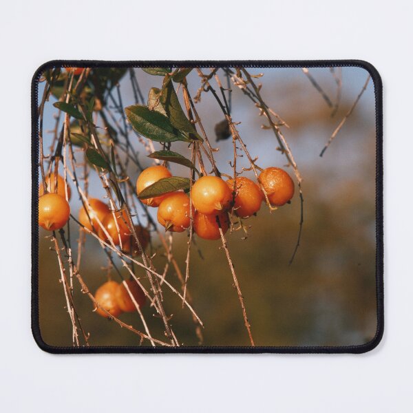Item preview, Golden berries  designed and sold by Stylecontent91.
