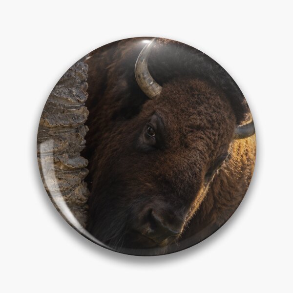 Item preview, Curious American Bison designed and sold by Kimberly Palmer.
