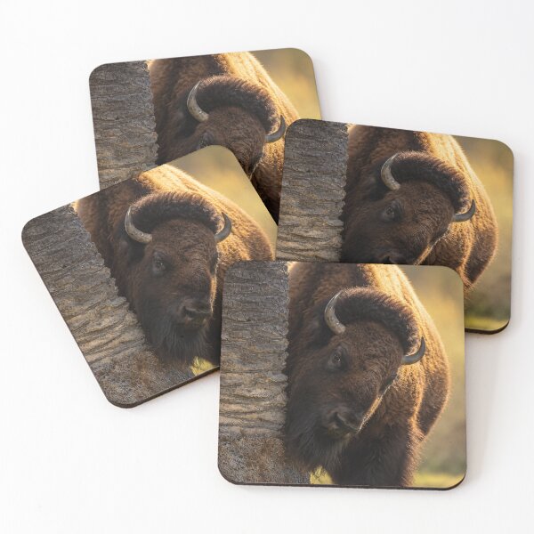 Item preview, Curious American Bison designed and sold by Kimberly Palmer.