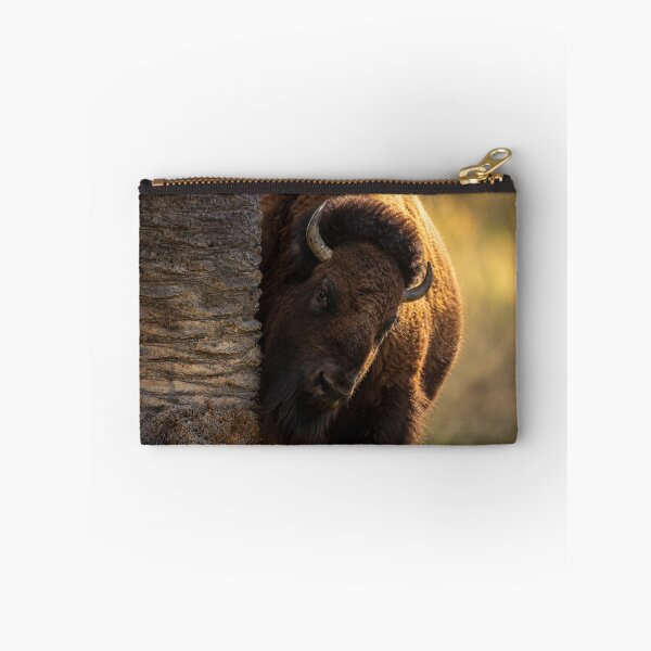 Item preview, Curious American Bison designed and sold by Kimberly Palmer.