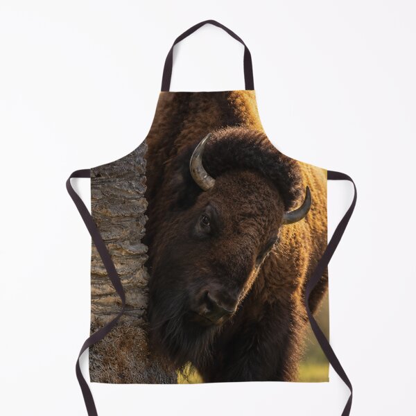 Item preview, Curious American Bison designed and sold by Kimberly Palmer.