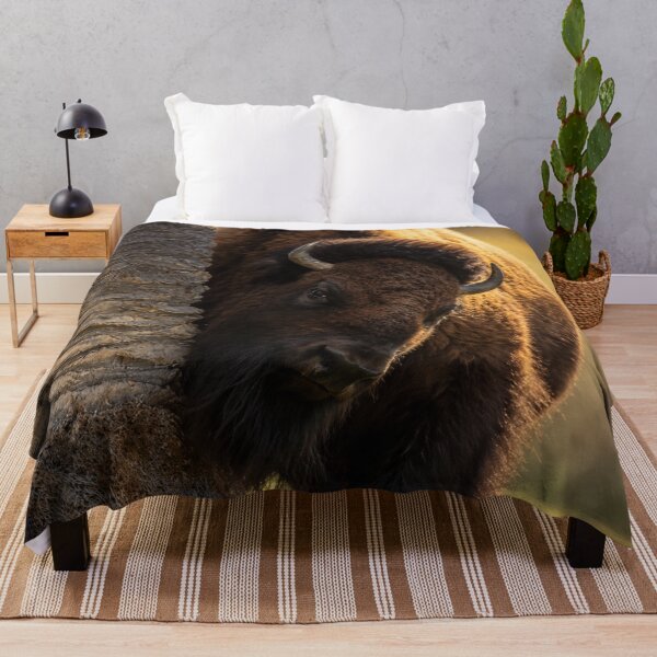 Item preview, Curious American Bison designed and sold by Kimberly Palmer.