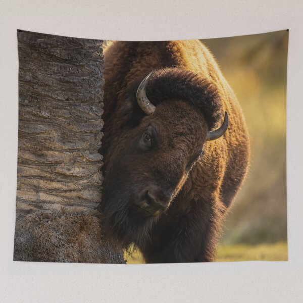 Item preview, Curious American Bison designed and sold by Kimberly Palmer.