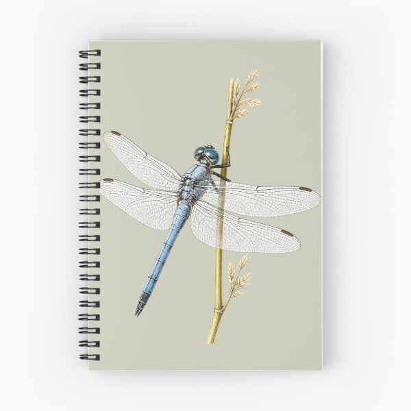 Item preview, Blue Dasher Dragonfly Natural History Study designed and sold by BloomStudio1.