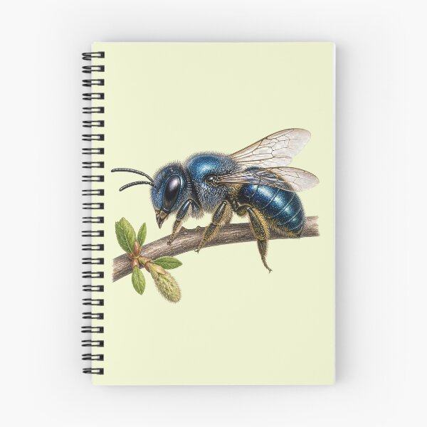 Item preview, Blue Mason Bee Natural History Study | Colored Pencil Style designed and sold by BloomStudio1.
